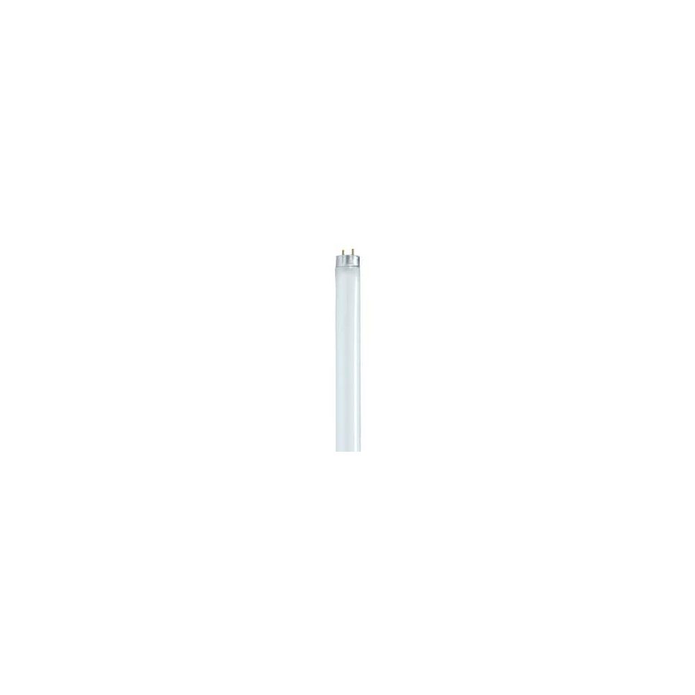 Satco 32W 48 in. T8 Fluorescent Light Bulb 4100 Kelvin with Medium Bi-Pin Base